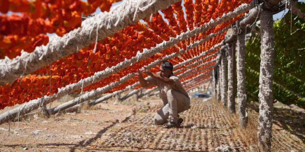 Sezon açıldı eşsiz görüntüler ortaya çıktı! Gaziantep’te lezzetin görsel şöleni: Dron ile görüntülendi… 1